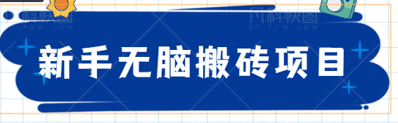 新手无脑搬砖小项目，每天赚点零花钱，做任务轻松日赚几十元【视频教程】插图