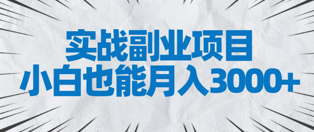 实战副业项目，小白也能月入3000+，易上手，人人可做【视频教程】插图