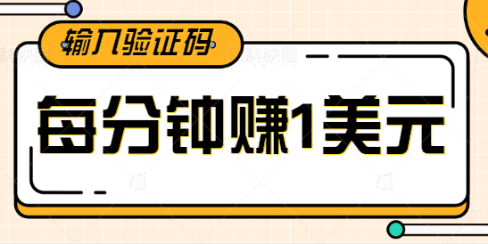 只需要通过输入验证码在线赚钱项目，每分钟赚1美元的报酬【视频教程】插图