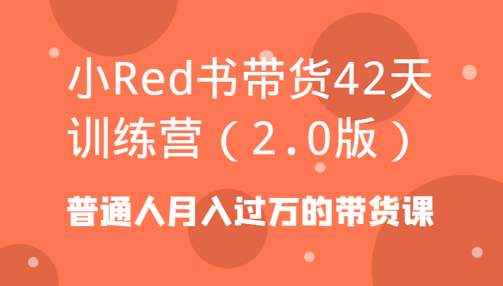  小Red书带货42天训练营（2.0版）普通人月入过万的带货课-有术宝库