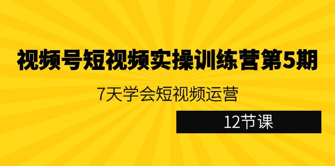 视频号短视频实操训练营第5期：7天学会短视频运营（12节课）-有术宝库