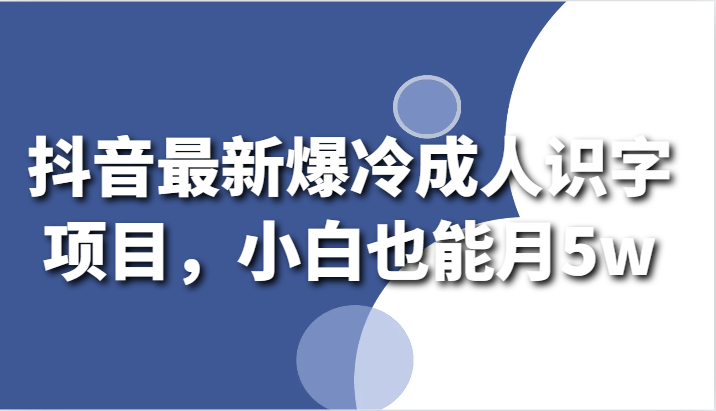 抖音最新爆冷成人识字项目，小白也能月5w-有术宝库