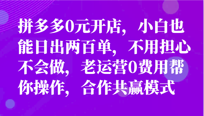 最新拼多多优质项目小白福利，两天销量过百单，不收费、老运营代操作-创业项目论坛-资源分享-6协议-村兔网