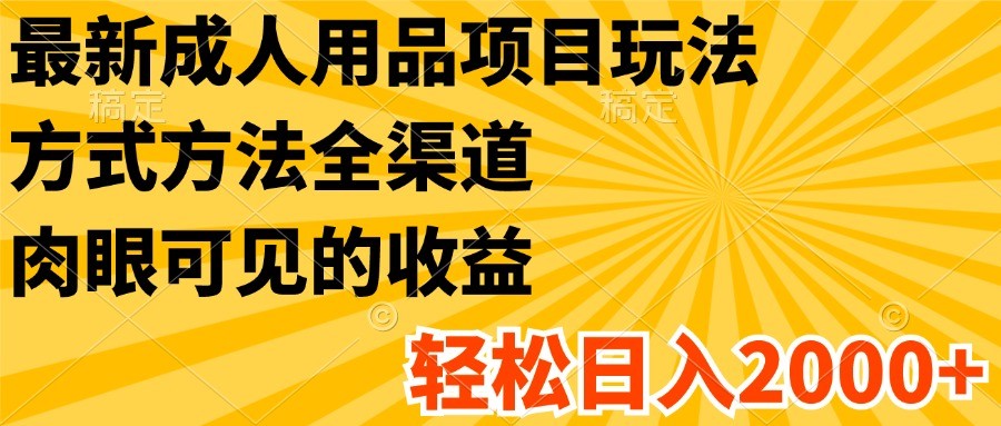 最新成人用品项目玩法，方式方法全渠道，肉眼可见的收益，轻松日入2000+ -有术宝库