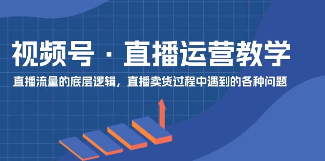 视频号直播运营教学：直播流量的底层逻辑，直播卖货过程中遇到的各种问题 -有术宝库