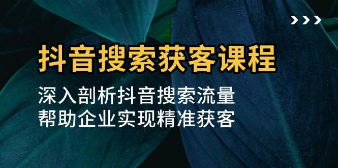 抖音搜索获客课程：深入剖析抖音搜索流量，帮助企业实现精准获客-创业项目论坛-资源分享-6协议-村兔网