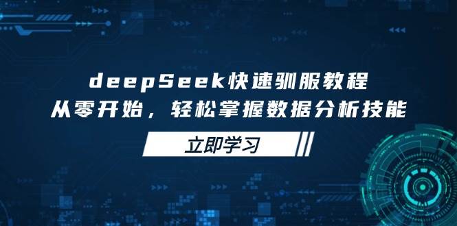 deepSeek快速驯服教程，从零开始，轻松掌握数据分析技能-6协议-村兔网