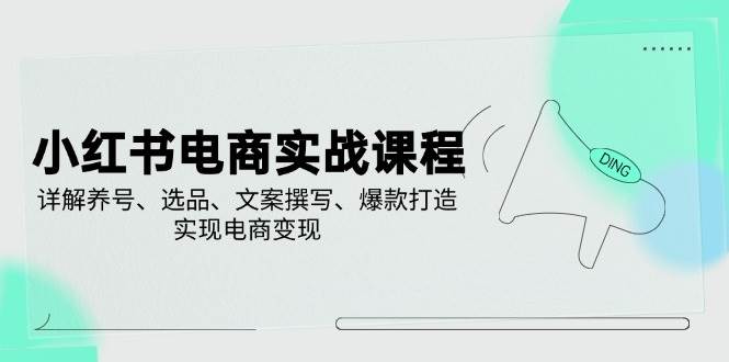 小红书电商实战课程，详解养号、选品、文案撰写、爆款打造，实现电商变现-创业项目论坛-资源分享-6协议-村兔网