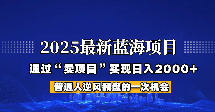 2025年蓝海项目，如何通过“网创项目”日入2000-创业项目论坛-资源分享-6协议-村兔网