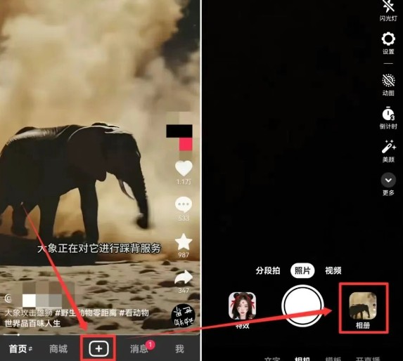 С˵Ͷιʽ淨ҪԼѡ⣬ÿԷ8428 :ԵԴ ID:115967 