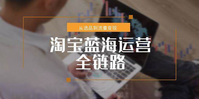 淘宝蓝海运营全链路，从选品到流量变现，小类目突围完整方案_酷乐网