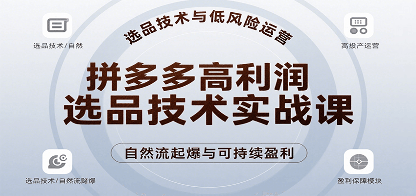 拼多多高利润选品技术实战课，手把手教学自然流高投产起爆，实现低风险可持续盈利-951博客