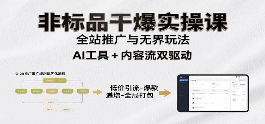 非标品干爆实操课：含多案例及操盘方法，从选品到推广、成交，助力打造爆款实现盈利-951博客