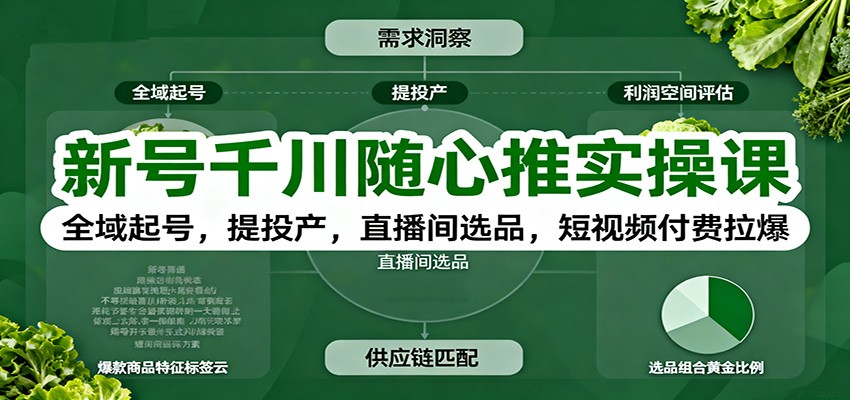 新号千川随心推实操课:全域起号,提投产,直播间选品,短视频付费拉爆_酷乐网