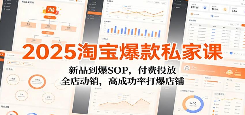 2025淘宝爆款私家课：新品到爆SOP，付费投放，全店动销，高成功率打爆店铺-951博客