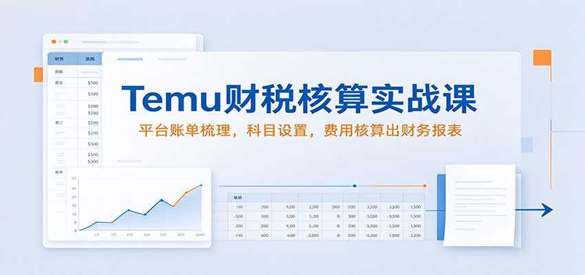 Temu财税核算实战课：平台账单梳理，科目设置，费用核算出财务报表-副业研究所